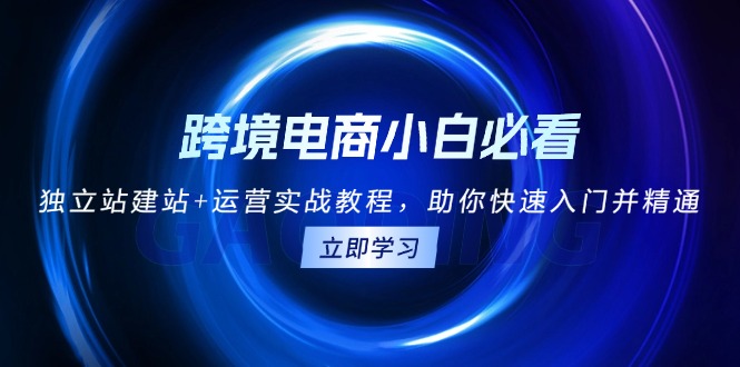 （13503期）跨境电商小白必看！独立站建站+运营实战教程，助你快速入门并精通