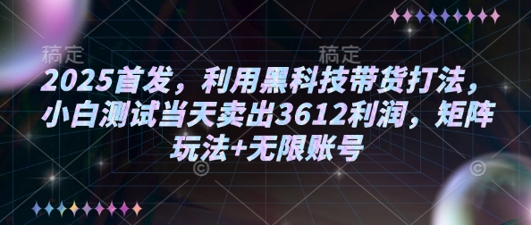 2025首发，利用黑科技带货打法，小白测试当天卖出3612利润，矩阵玩法+无限账号