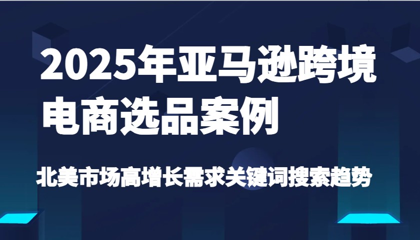 2025年亚马逊跨境电商选品案例