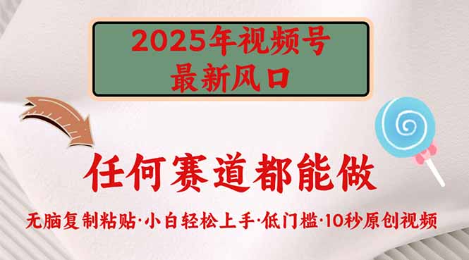 （14453期）2025年视频号新风口，低门槛只需要无脑执行