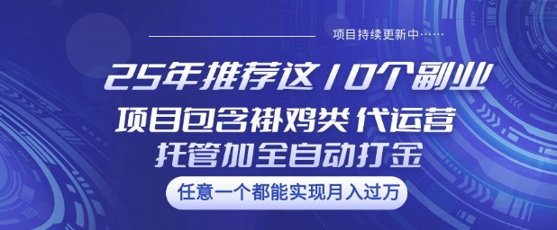 25年推荐这10个副业项目包含褂鸡类、代运营托管类、全自动打金类